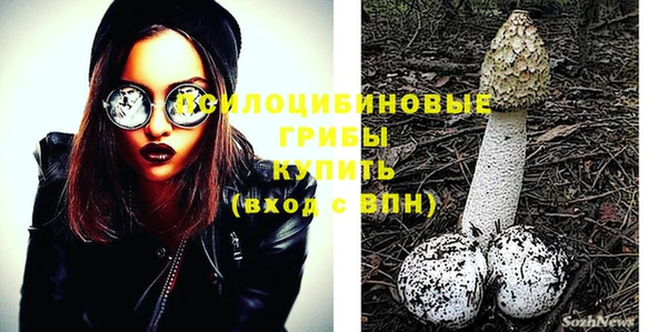 мдпв Абдулино