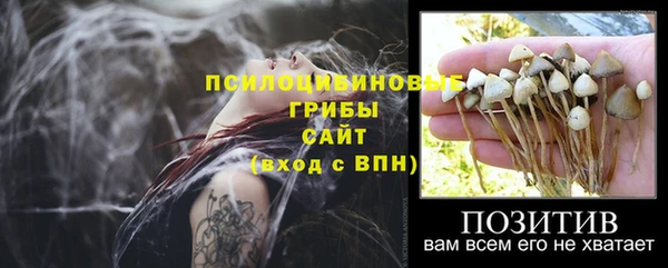 jwh Абаза
